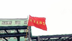 党旗在大修现场飘扬 党徽在汗水中闪光